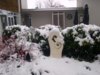 Methven Snow - June 20 013