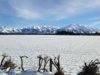 Methven Snow - June 24 001